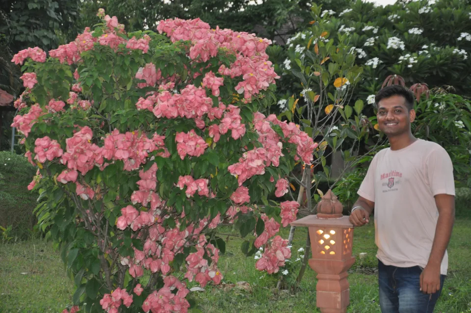 Mr. Anand Kadam