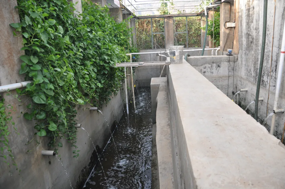 Water Sewage Treatment plant at Govardhan Ecovillage Wada